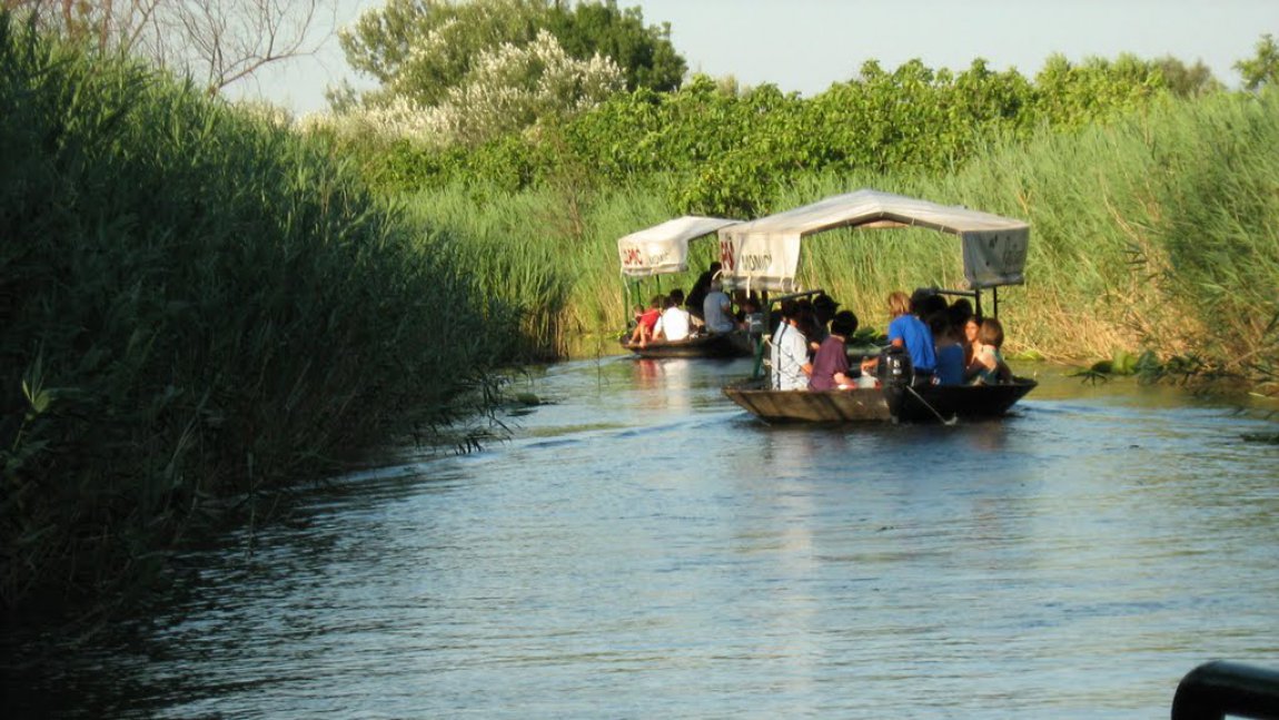 Makarska - Metković - safari Neretva