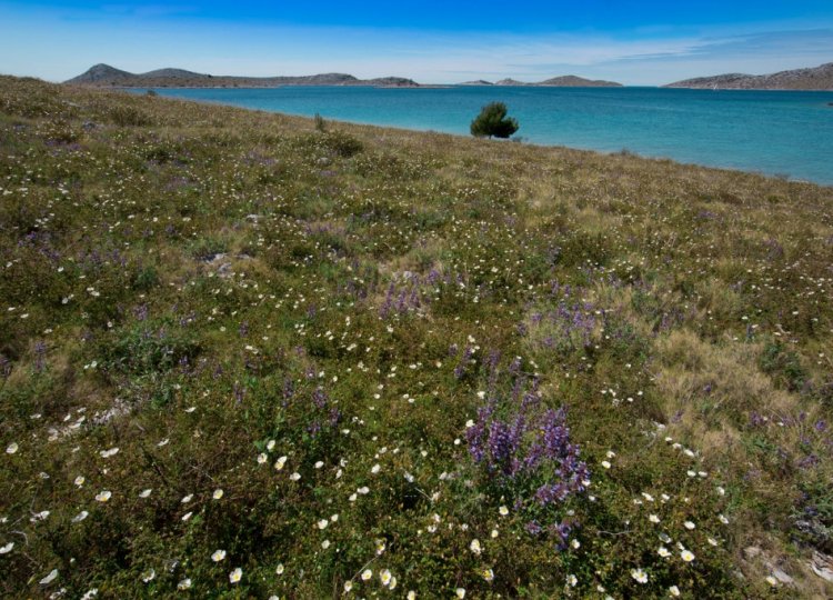 Igor Tomljenović NP Kornati