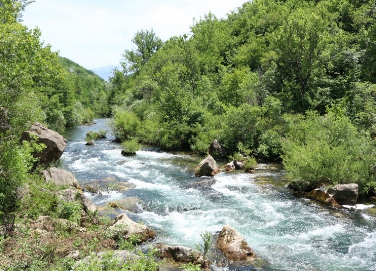 Rafting on Cetina river